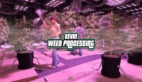 FREE Weed Processing for QBCore