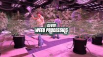 FREE Weed Processing for QBCore