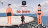 Body Damages UI V2