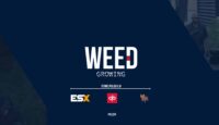 Weed Growing - Create your weed empire